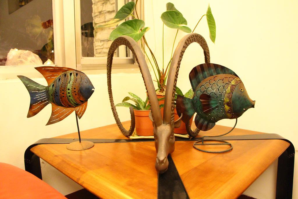 הואליין סיטי Constellation Coast B&B מראה חיצוני תמונה